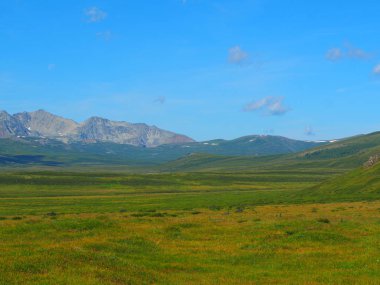 Altay Dağları manzarası ve yeşil çimenli bir vadi ısmarlayarak güneşli bir günde, Rusya Federasyonu 