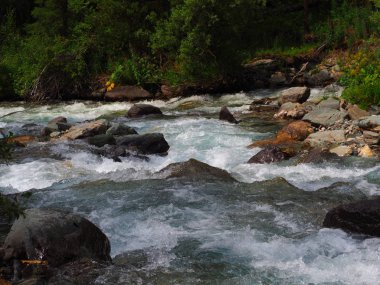 temiz su ile hızlı akış büyük kayalar, Altay Dağları, Rusya Federasyonu