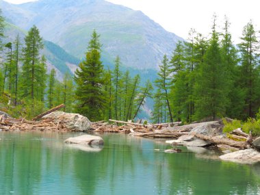 nefes kesen manzarası alt Shavla Gölü, Altay Dağları, Rusya Federasyonu