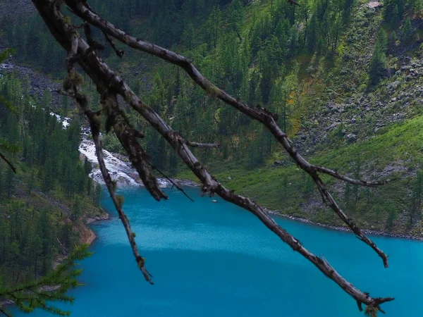 Azurblå Vatten Lower Shavla Lake Altai Bergen Ryssland — Stockfoto