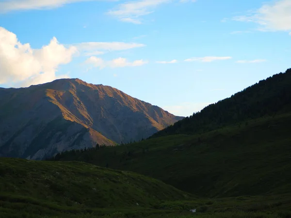 Γραφική Θέα Στα Βουνά Αλτάι Στον Ορίζοντα Και Πράσινο Χλοώδεις — Φωτογραφία Αρχείου