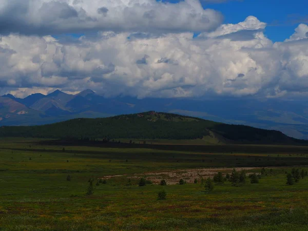 Vale Gramado Verde Altai Montanhas Entardecer Rússia — Fotografia de Stock