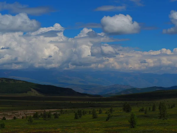 Zöld Füves Völgyben Alkonyatkor Oroszország Altaj Hegység — Stock Fotó