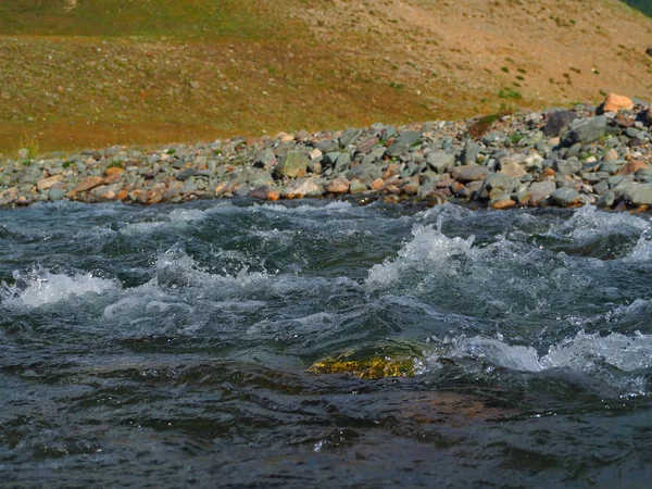 Πιτσίλισμα Καθαρό Νερό Του Βουνό Ρεύμα Βουνά Αλτάι Ρωσία — Φωτογραφία Αρχείου