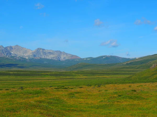 Altay Dağları manzarası ve yeşil çimenli bir vadi ısmarlayarak güneşli bir günde, Rusya Federasyonu 
