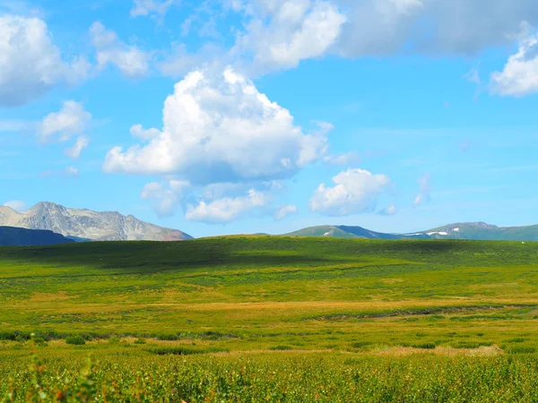 picturesque view of Altai Mountains skyline and green grassy valley on a sunny day, Russia