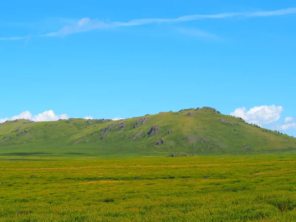 picturesque view of Altai Mountains skyline and green grassy valley on a sunny day, Russia