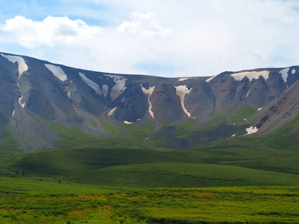 Incrível Paisagem Altai Montanhas Vale Verde Rússia — Fotografia de Stock