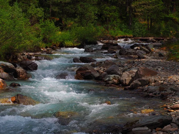 Ruisseau Montagne Cascade Avec Eau Propre Montagnes Altaï Russie — Photo