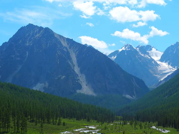 Forêt Feuilles Persistantes Skyline Des Montagnes Altaï Russie — Photo