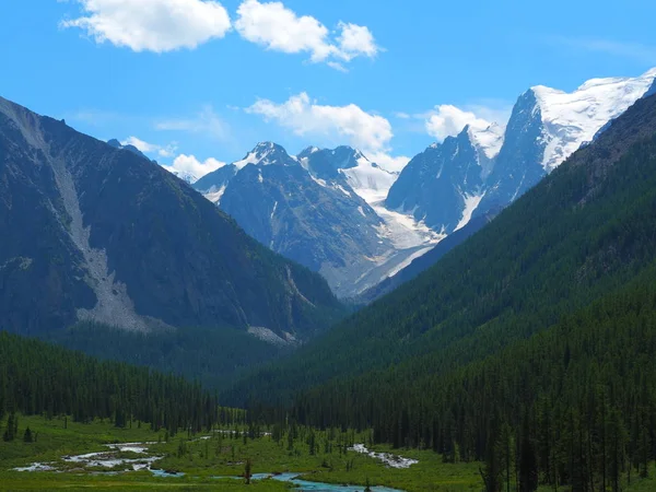 Asombroso Paisaje Las Laderas Las Montañas Altai Cubiertas Bosque Siempreverde — Foto de Stock