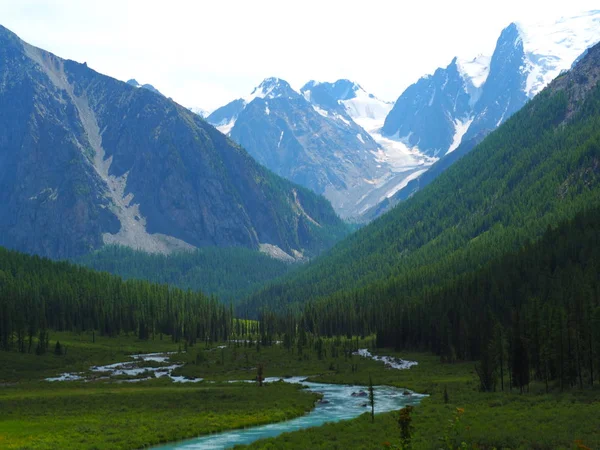 Удивительный Ландшафт Алтайских Гор Покрытых Вечнозелеными Лесами Россия — стоковое фото
