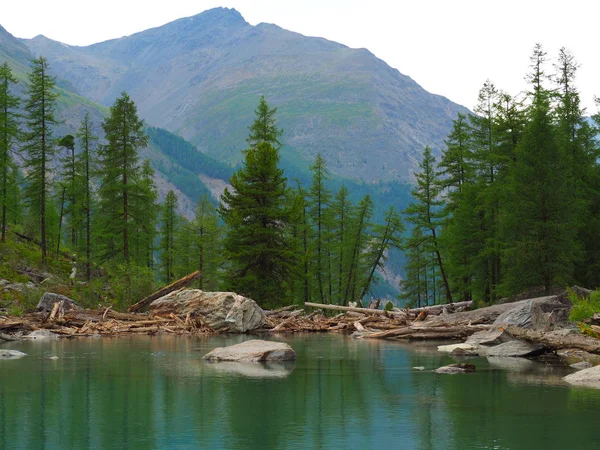nefes kesen manzarası alt Shavla Gölü, Altay Dağları, Rusya Federasyonu