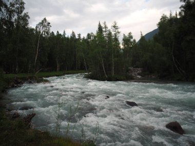 Altai dağ sıraları ve nehir manzarası