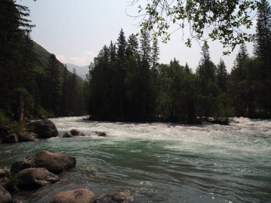 Altai dağ sıraları ve nehir manzarası