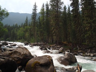Altai dağ sıraları ve nehir manzarası