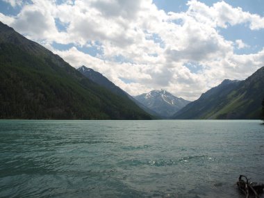 Altai dağ sıraları ve nehir manzarası