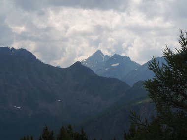 Altai dağlarının manzarası