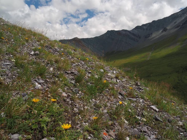 Τοπίο Της Κοιλάδας Yarlu Βουνά Altai — Φωτογραφία Αρχείου