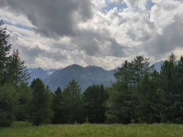 Landschap Van Altai Bergketens Cederbos — Stockfoto