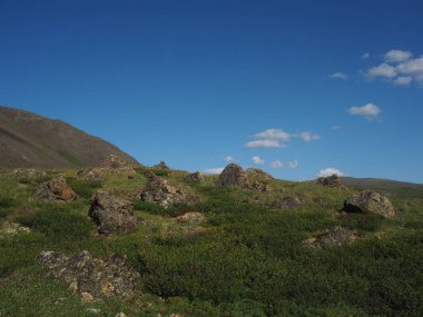 güzel manzara Altai dağ sıraları