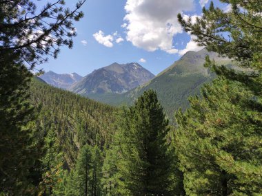 güzel manzara Altai dağ sıraları
