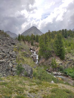 güzel manzara Altai dağ sıraları ve dere