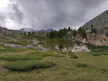 güzel manzara Altai dağ sıraları