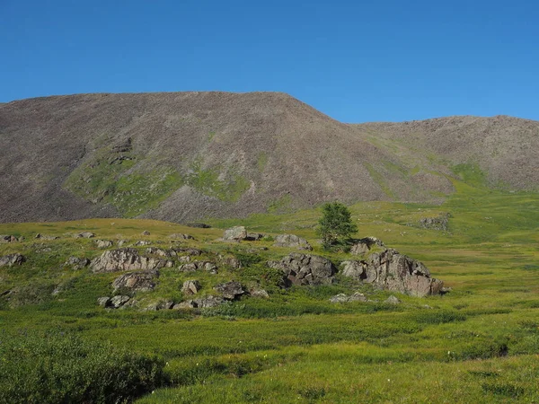 Bela Paisagem Cordilheiras Altai — Fotografia de Stock