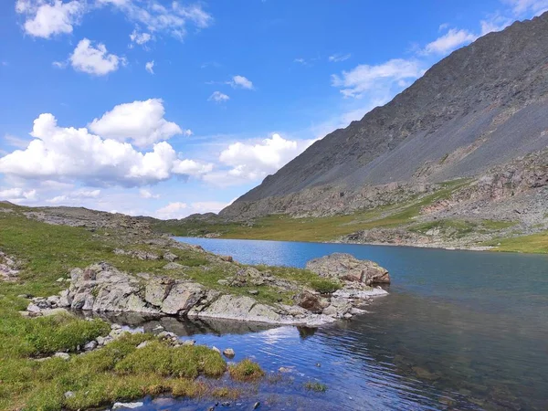 Krásná Krajina Altai Pohoří Řeka — Stock fotografie