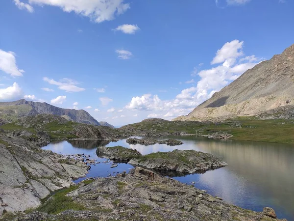 Krásná Krajina Altai Pohoří Řeka — Stock fotografie