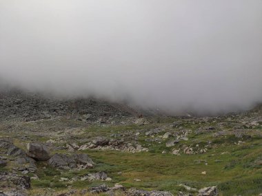 güzel manzara Altai dağ sıraları