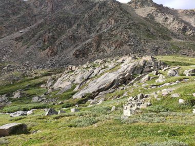 güzel manzara Altai dağ sıraları