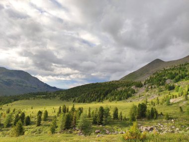 güzel manzara Altai dağ sıraları
