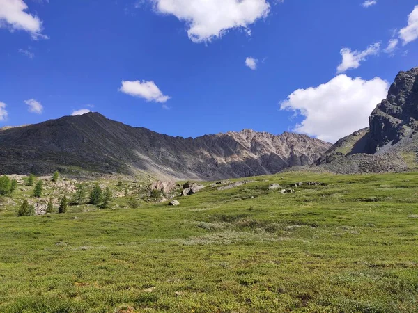 güzel manzara Altai dağ sıraları