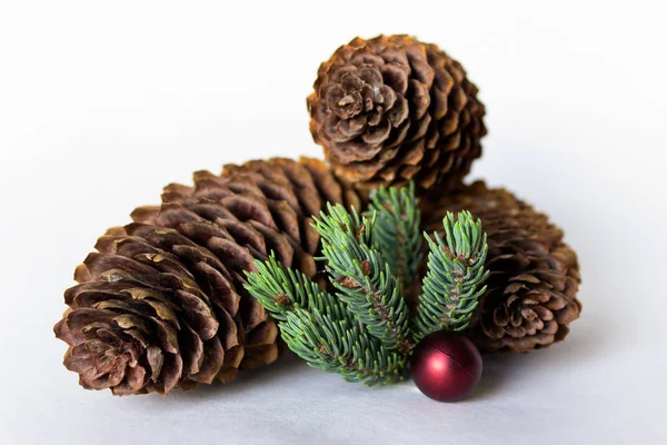 Composição Três Cones Pinho Com Decoração Bola Vermelha Galho Pinho — Fotografia de Stock