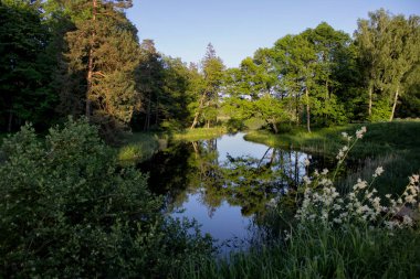 Barışçı doğa sahne ormanıyla çevrili açık havuz ile.