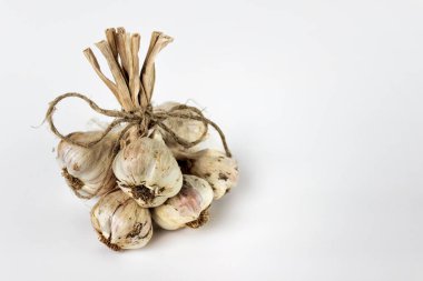 Organik sarımsak ampuller beyaz arka plan üzerinde izole kaba iple bağlı kuru saplı.