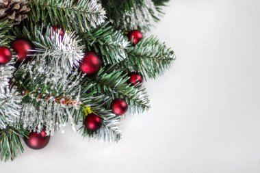 Buzlu evergreen şube ve boş yer beyaz zemin üzerine kırmızı topları ile Noel arka plan