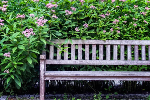 Prázdné Dřevěné Lavice Zahradě Před Zelené Rostliny Dekorační Pro Ozelenění — Stock fotografie