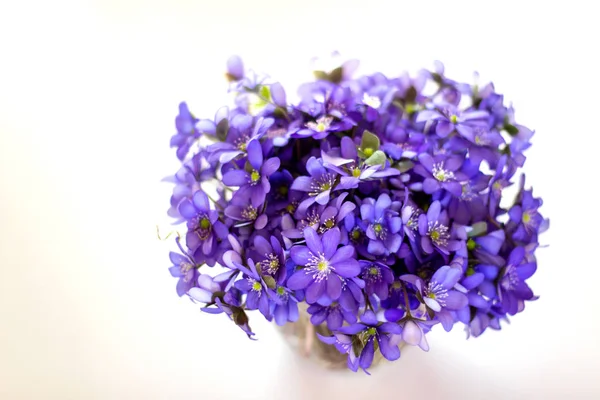 Mantarı mor çiçekler küçük cam vazoda beyaz arka plan üzerinde yukarıdan.