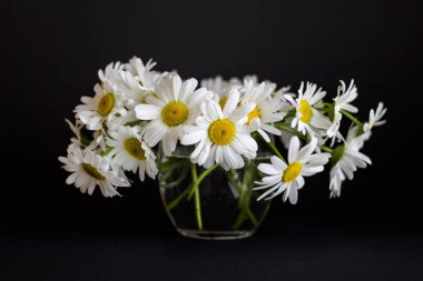 Vahşi camomiles koyu arka plan üzerinde bir küçük cam vazoda Bouchek.