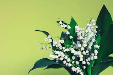 Lilyum sarı zemin üzerine Vadisi'nin çiçekler. Soldan kopya boş alan ile fotoğraf.