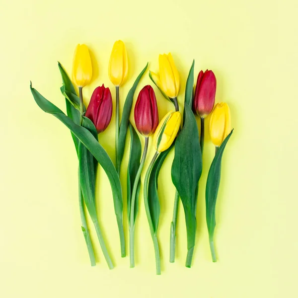 Greeting card with yellow and red tulips for Woman's day or Mother's Day on yellow background.