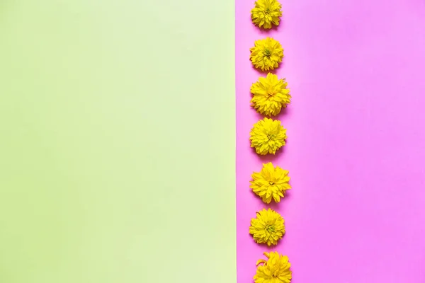 Acostado Plano Con Flores Amarillas Verano Sobre Fondo Amarillo Rosa — Foto de Stock