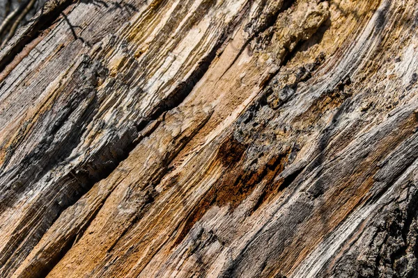 Natural Wood Texture Pattern Cracks Diagonal Front View — Stock Photo, Image