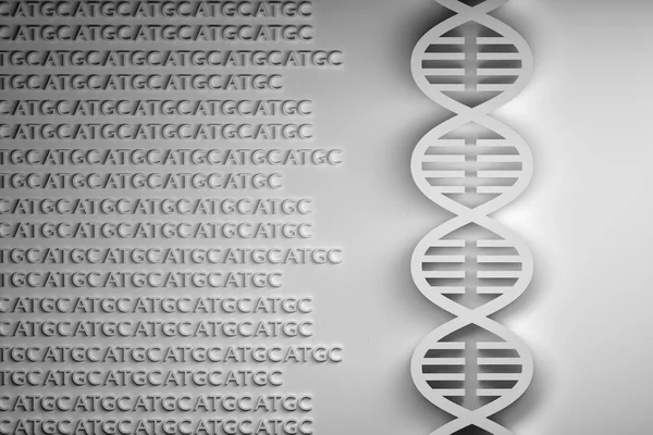 Concept of DNA sequencing - DNA helix with guanine adenine thymine cytosine A T G C letters. Black and white image. 3d illustration.