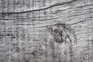 Çatlaklar ahşap doku