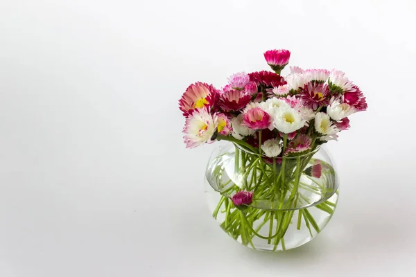 Pequeño jarrón de cristal con jardín de primavera margaritas blancas rosas —  Fotos de Stock