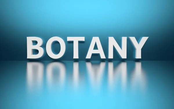 Word Botany — Stock Photo, Image